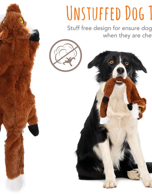 Load image into Gallery viewer, 5Pcs Dog Squeaky Toys for Small Medium Dog, No Stuffing
