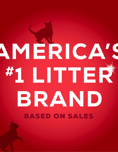 Load image into Gallery viewer, Purina  Instant Action Arena Aglomerante Cat, Aroma Floral, Garrafa De 20 Lb
