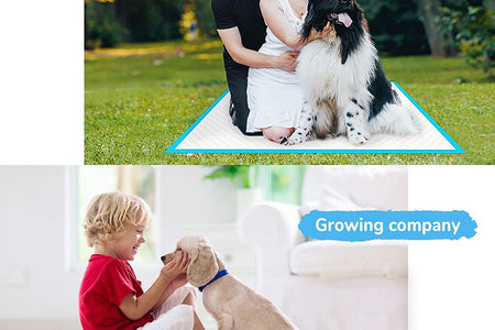 Extra Large Dog Pee Pads, Thicker Design for Super Absorbent and Leak Proof Pads, Disposable Potty Training Pads for Dogs, Puppy Pads XL, 28X34 Inches(120-Count, Blue)