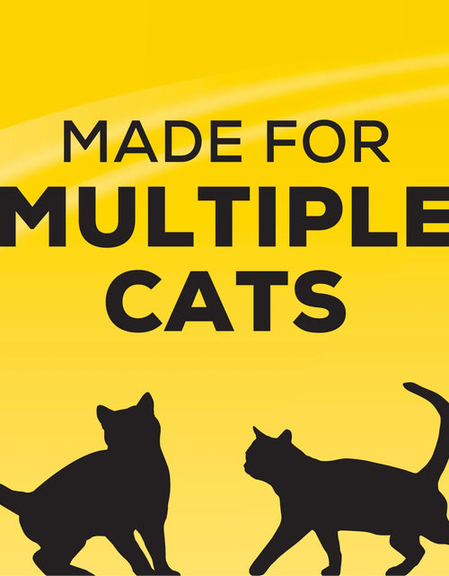 Load image into Gallery viewer, Purina  Instant Action Arena Aglomerante Cat, Aroma Floral, Garrafa De 20 Lb
