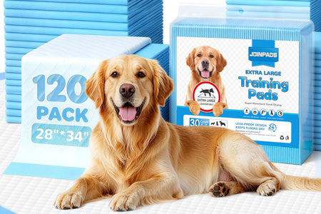 Extra Large Dog Pee Pads, Thicker Design for Super Absorbent and Leak Proof Pads, Disposable Potty Training Pads for Dogs, Puppy Pads XL, 28X34 Inches(120-Count, Blue)