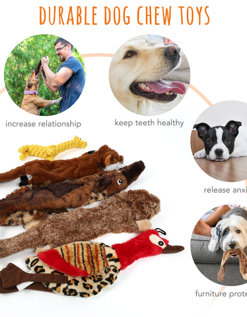 Load image into Gallery viewer, 5Pcs Dog Squeaky Toys for Small Medium Dog, No Stuffing
