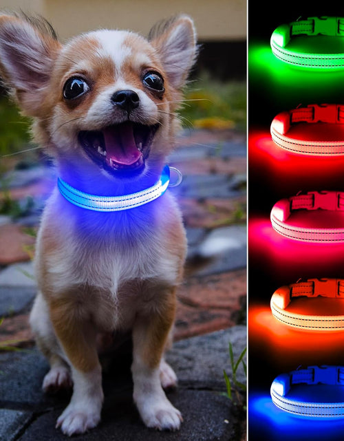 Load image into Gallery viewer, Puppy LED Dog Collars - USB Rechargeable Light up Dog Collar Adjustable Reflective Pet Collars Keep Your Small Dogs and Cats Be Seen &amp; Safe in the Dark (XS, Royal Blue)
