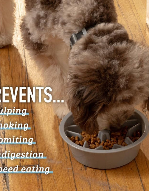 Load image into Gallery viewer, Slow Feeder Dog Bowls - Cup Maze Puzzle Food Bowl with Feeder Holes, Fits into Elevated Pet Feeders - Slow Eating for Large, Medium &amp; Small Sized Breeds (2 Cup - 7.5-8 Inch Feeder Holes)
