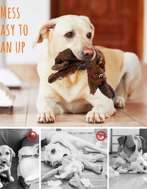 Load image into Gallery viewer, 5Pcs Dog Squeaky Toys for Small Medium Dog, No Stuffing
