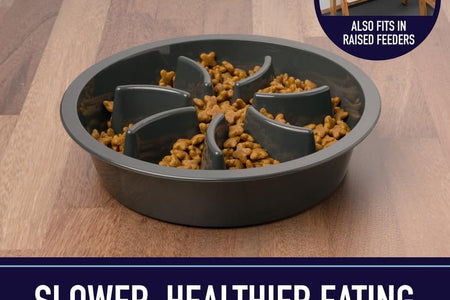 Slow Feeder Dog Bowls - Cup Maze Puzzle Food Bowl with Feeder Holes, Fits into Elevated Pet Feeders - Slow Eating for Large, Medium & Small Sized Breeds (2 Cup - 7.5-8 Inch Feeder Holes)